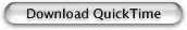 Click here to download free QuickTime player